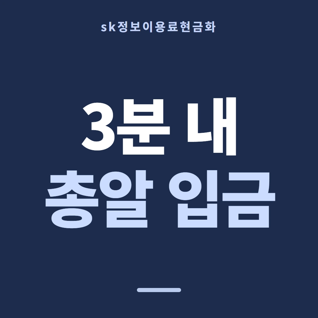 품티켓 SK 정보이용료 청구 반영 쪽 안내 이미지